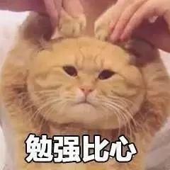 t01eea60d892d04379e